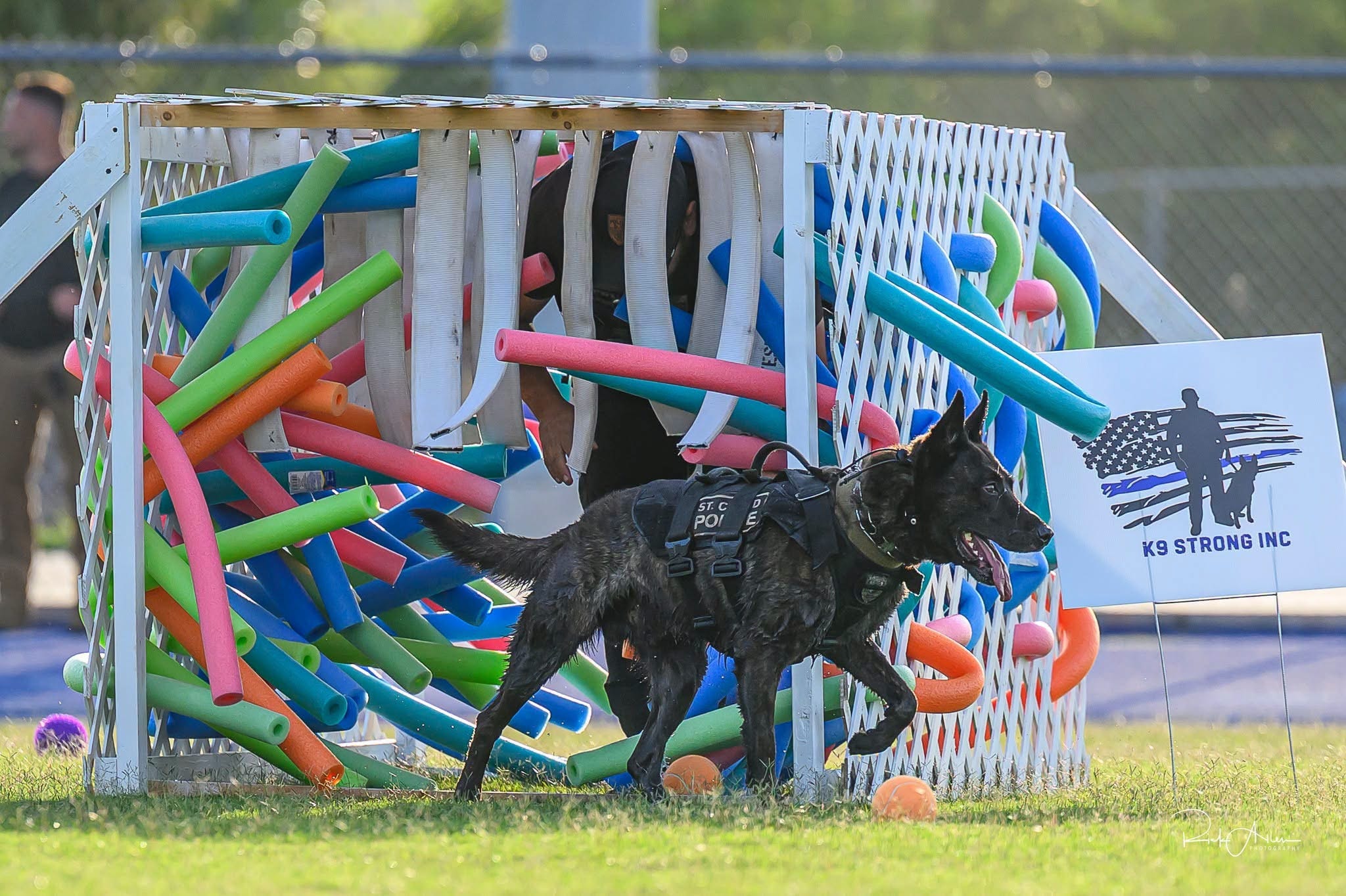 K-9 dog navigating obstacle course at community event