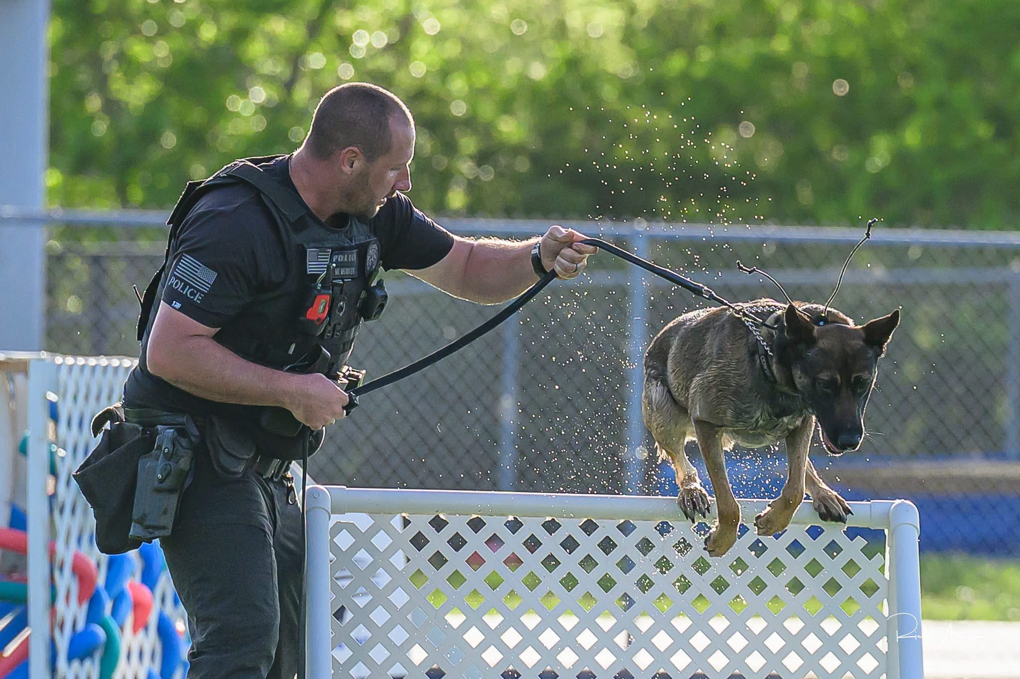 K-9 officer with dog jumping agility obstacle at stadium event
