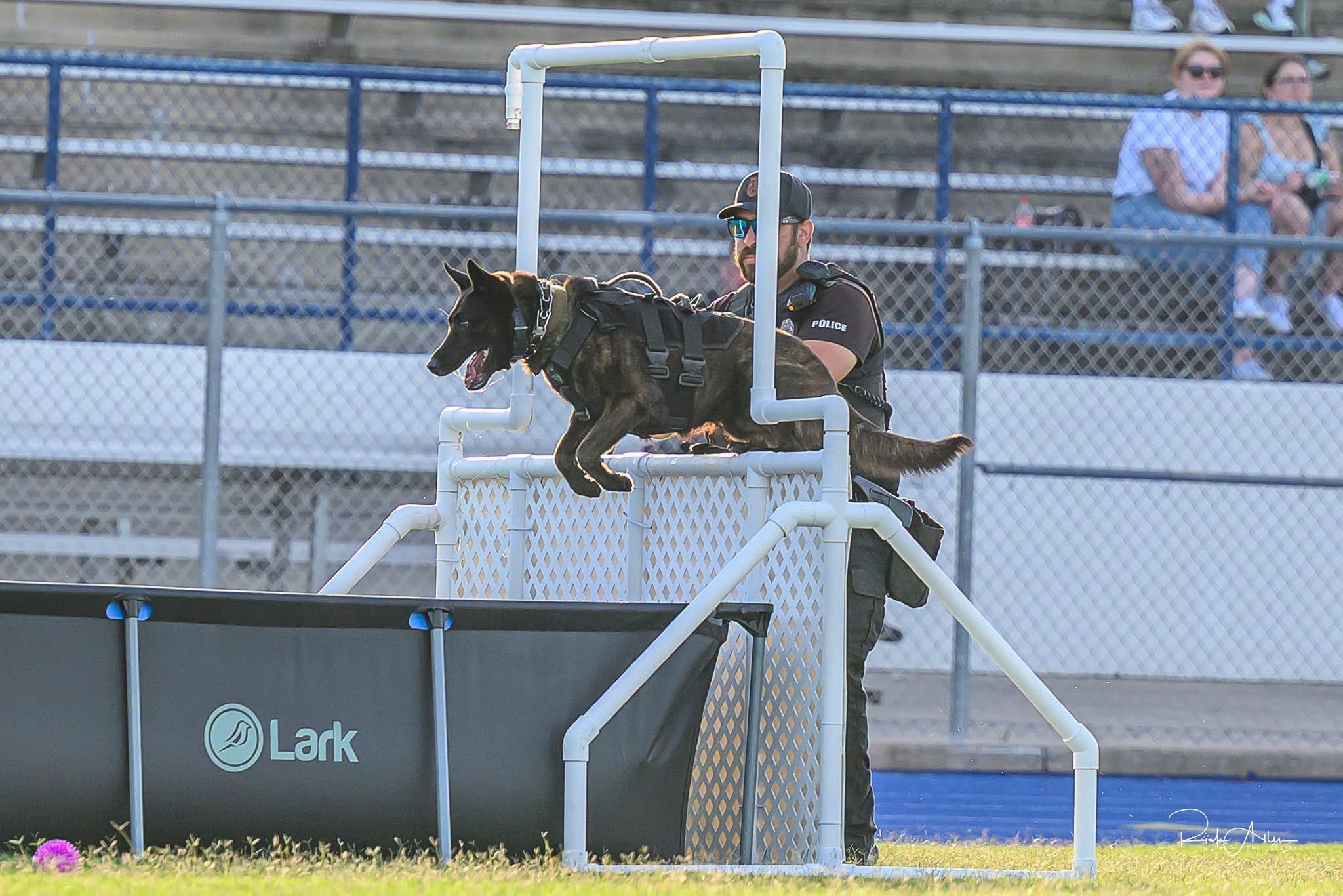 K-9 officer and dog at outdoor demonstration